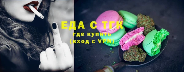 СК Снежногорск