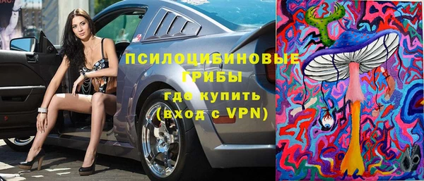 дурь Слюдянка