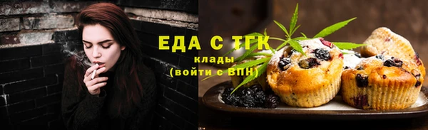 СК Снежногорск