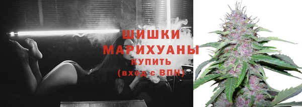 СК Снежногорск