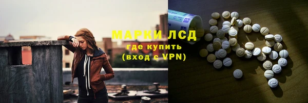 СК Снежногорск