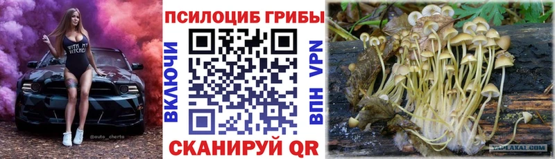 Галлюциногенные грибы Psilocybe  Чёрмоз 